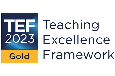 TEF 2023 logo